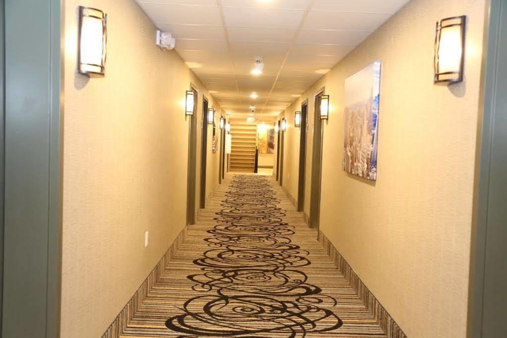 Red Carpet Inn Elmwood Elmwood Park Exterior photo